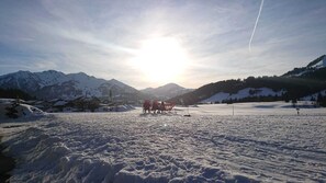 Skidåkning och snöaktiviteter