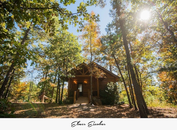 Secluded Cabin in the Woods - Romantic - Little Rock, Arkansas