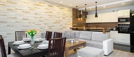Spacious living room with full equipment.