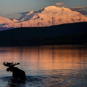 Apartment less than a mile from the mouth of the Kenai River!