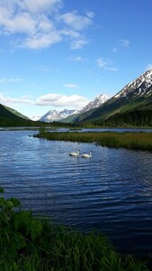 Apartment less than a mile from the mouth of the Kenai River!