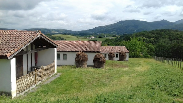 Exteriör