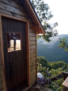 Cabane dans les arbres