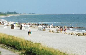area