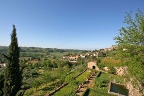 Scenic View