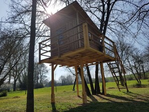 Pflanze, Himmel, Baum, Natur, Ast, Holz, Kofferraum, Grundstueck, Natürliche Landschaft, Biome