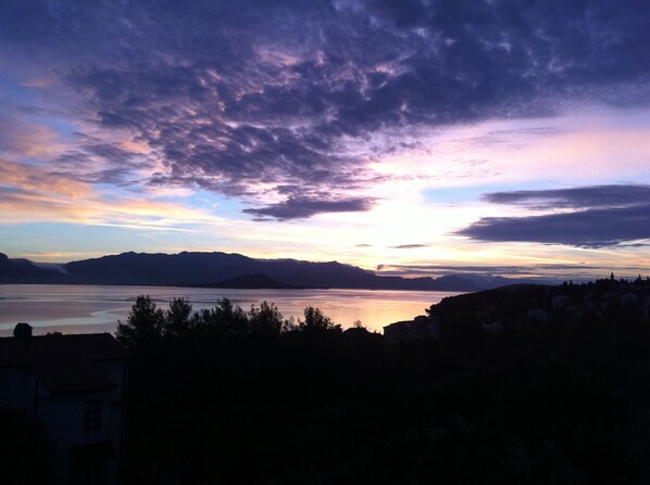 The view