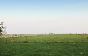 view-from-room
