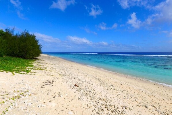 The beach