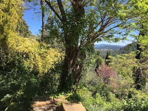 East garden in spring