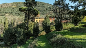 view of the property from the garden