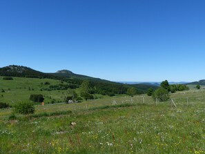 Début juin: début du potager