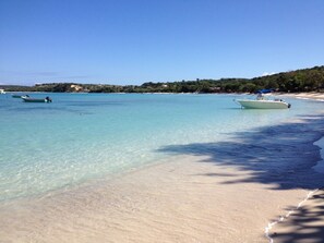 Beach right in front of Villa Mango!