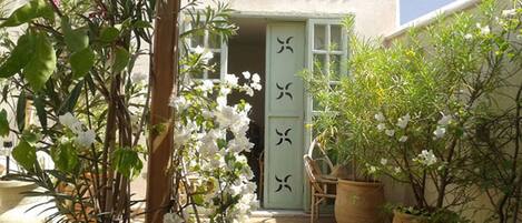 Roof garden, bougainvillea, jasmine, laurel, fruit trees...