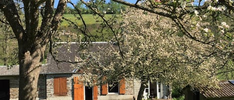 La maison aux milieu des pommiers en fleurs.