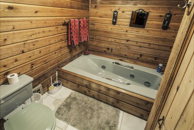 Secluded Cabin With Hot Tub And Sauna near Tetons