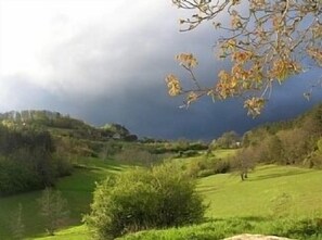 From the terrace, facing west- tranquil, private