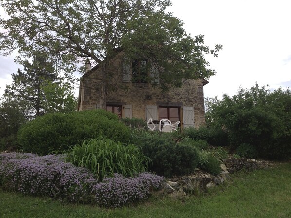 Looking  towards the house from just below