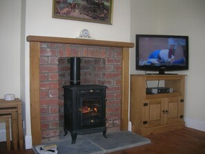 Wood Burning Stove in Lounge