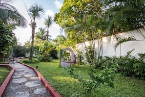 Backyard garden area