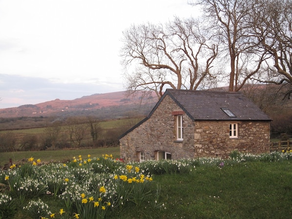 The Carthouse in spring