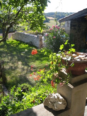 View from kitchen door towards the pool.