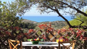 sea view from terrace