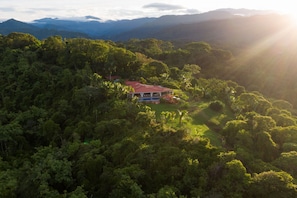 Toucan Gardens - from  above