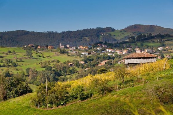 Vue aérienne