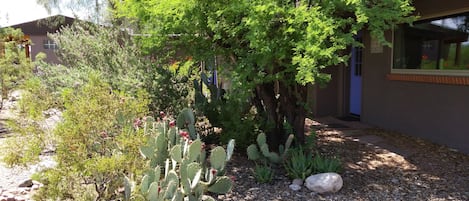 Yard parking and walkway to Casita front door.