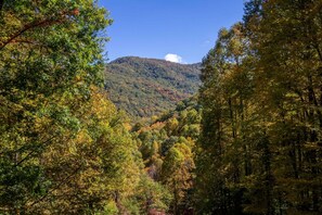 Mountain View - Mountain view