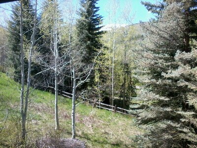 Vail Secluded Cabin, one of a kind views!