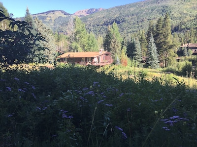 Vail Secluded Cabin, one of a kind views!