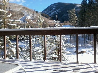 Vail Secluded Cabin, one of a kind views!