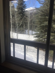 Vail Secluded Cabin, one of a kind views!