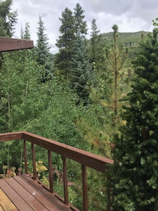 Vail Secluded Cabin, one of a kind views!