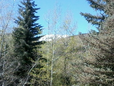 Vail Secluded Cabin, one of a kind views!