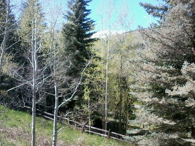 Vail Secluded Cabin, one of a kind views!