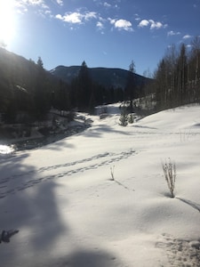 Vail Secluded Cabin, one of a kind views!