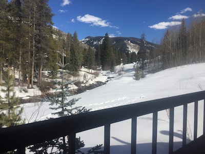 Vail Secluded Cabin, one of a kind views!