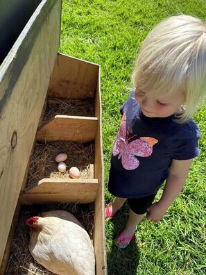 children are welcome to check for eggs each day 
