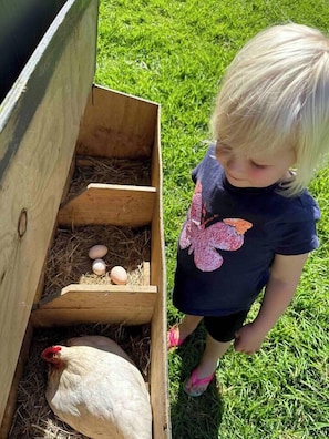 children are welcome to check for eggs each day