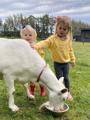 Boendeområde