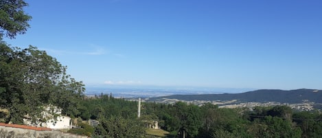 Magnifique vue sur les Alpes