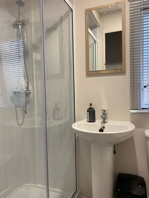 Master shower and toilet