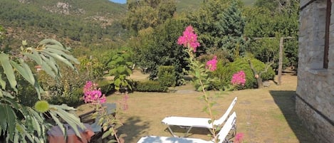 Terraço/pátio interior