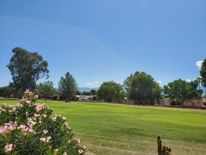 golf course from patio