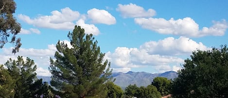 view from patio