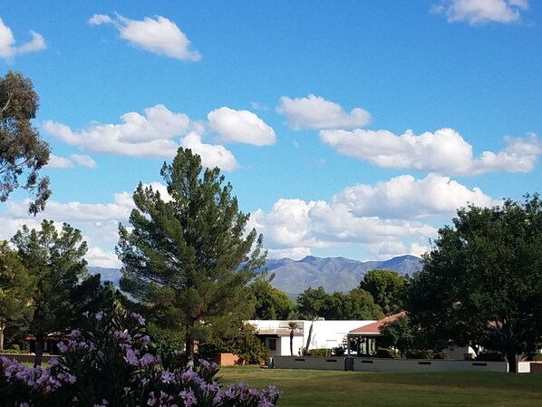 view from patio