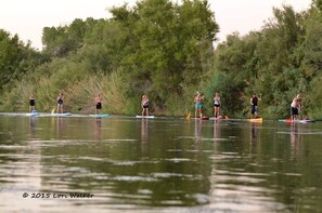 Salt River Paddle Board (SUP)